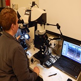 Firearms examiner academy student in front of a microscope.