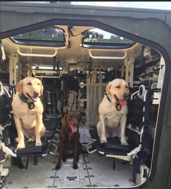 K-9s Vegas Bonny and Opey Secure the Selfridge Air Show 2017