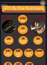 ATF By the Numbers Infographic