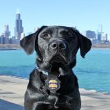 K-9 MC sits at a riverfront in front of a city