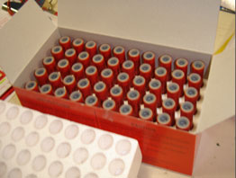 Picture of Test Tubes being packed for shipping