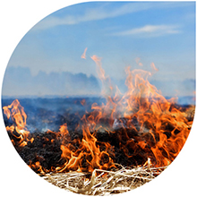 Image of fire burning grass