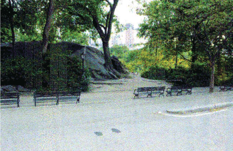 Central Park Explosion