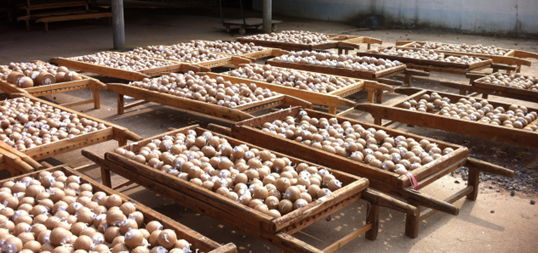 Display fireworks in the manufacturing process
