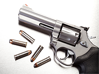A firearm and bullets