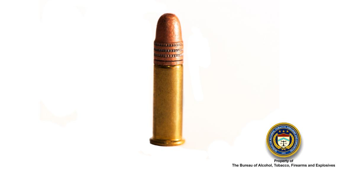 Picture of 22 Cal Bullet