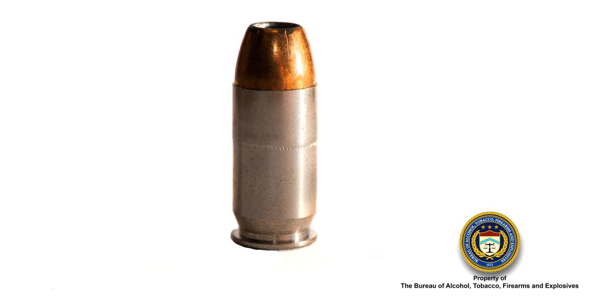 Picture of 45 Cal Hollow Point Bullet