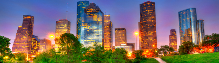 Image of Houston skyline from a park
