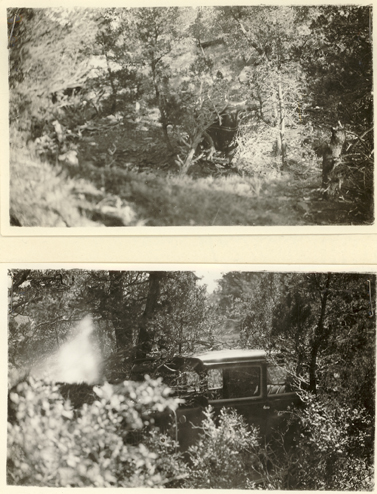 Image of Ray Sutton’s partially visible sedan.