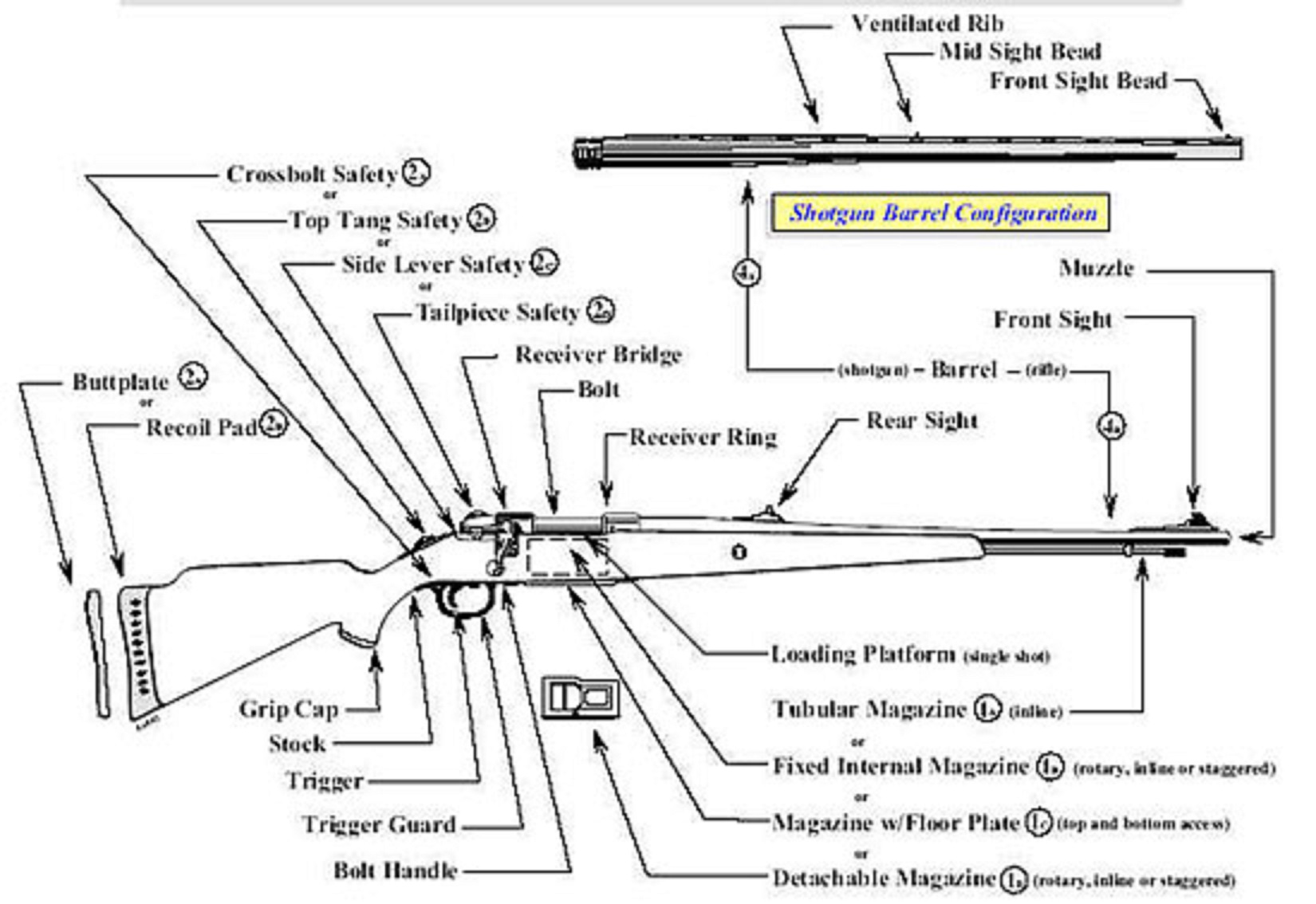 Image (large) of an illustration exhibiting the primary characteristics of a rifle. 