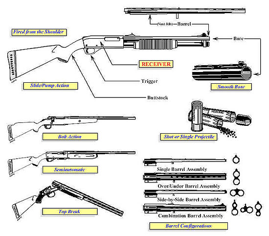 Image of various types of shotguns, shot and single projectile and barrel configurations.
