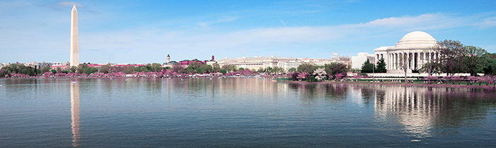 Image of the Washington DC skyline