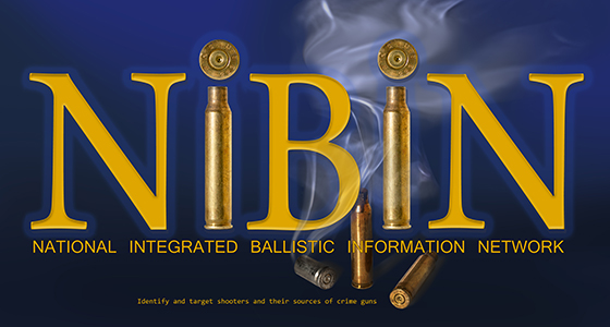 Image of the NIBIN web button
