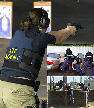 A collage of agents training in various tactical simulations.