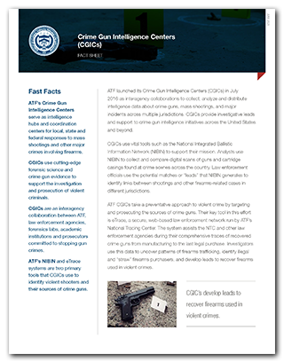 Preview of the CGICs Fact Sheet PDF for print.