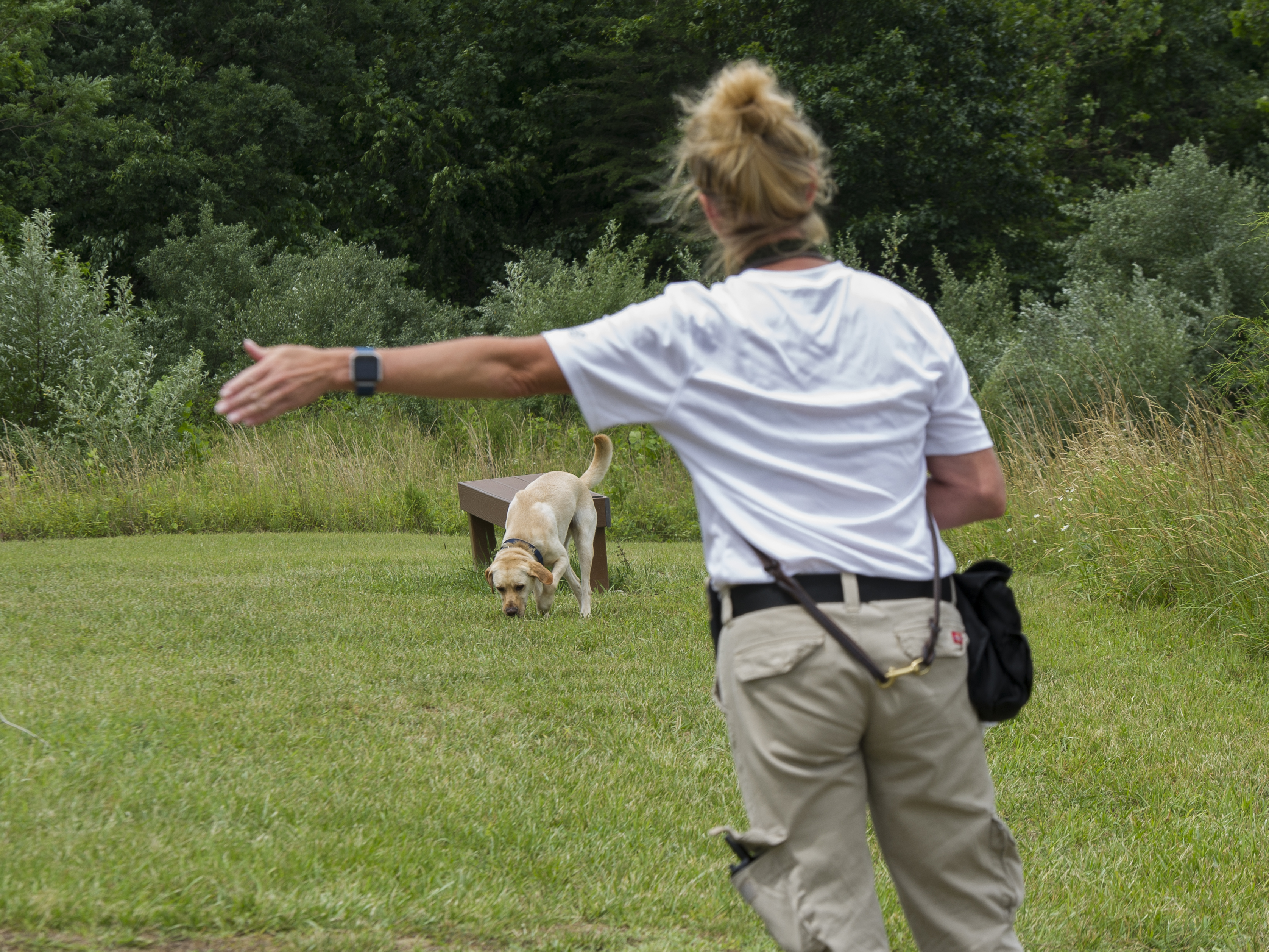 A special agent canine handler and her S.E.E.K. K-9 participate in canine training