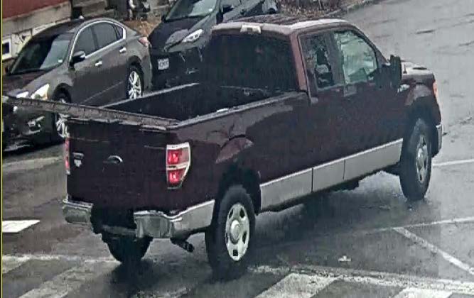 The back of a dark-colored truck with a ladder in the back of it.