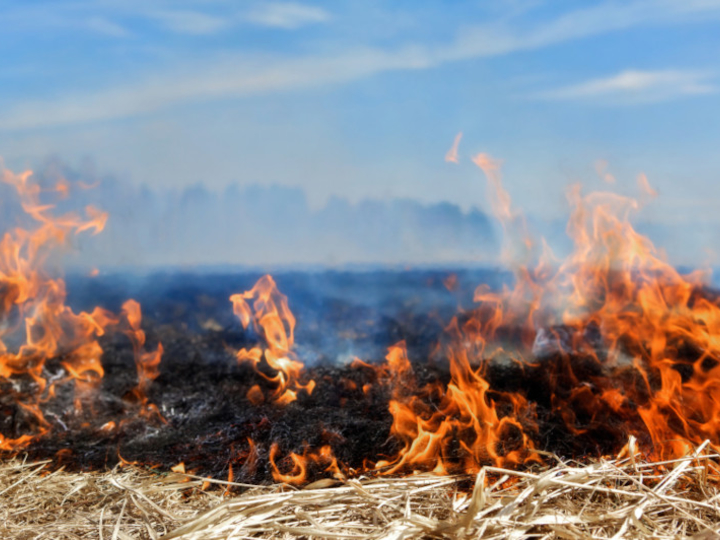 Grass burning