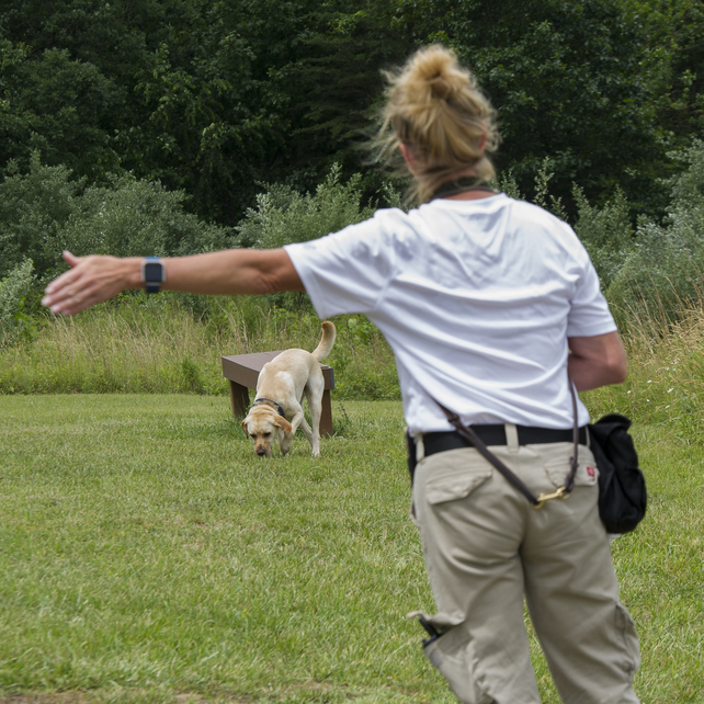A Special Agent Canine Handler and her canine participate in S.E.E.K. training