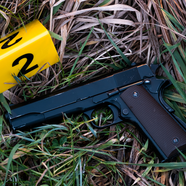 Gun laying in grass