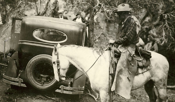Mounted volunteer examining crime scene