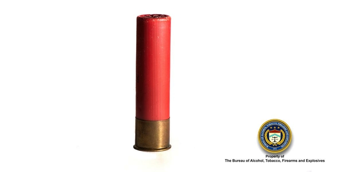 12 Gauge (Shotgun) Bullet