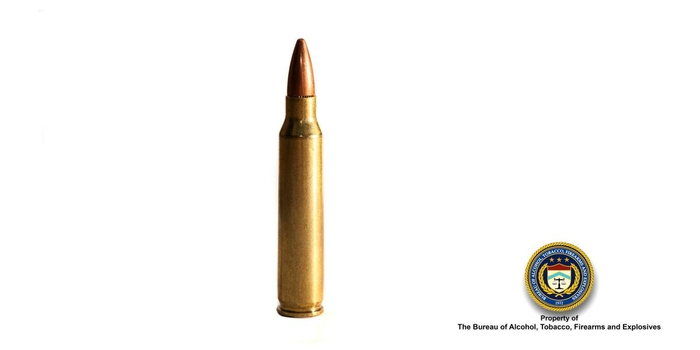 .223 Cal (Rifle) Bullet 