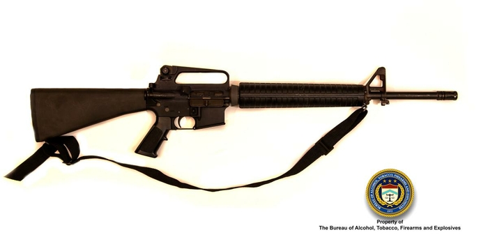 Bushmaster (AR Type) Caliber 5.56mm