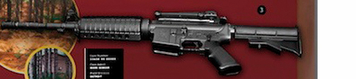 CAR-15 Rifle: Similar to those used by militia members