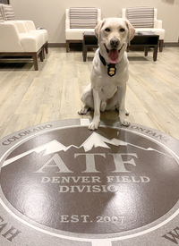 K9 Wolfgang