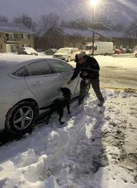 K-9 MC searches for evidence with Special Agent Dan Durkin