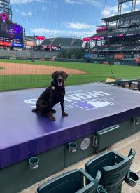 K-9 Sandi helps secure the 2021 All Star game 
