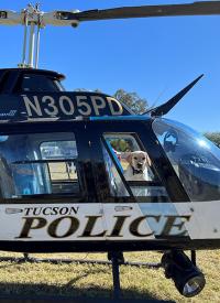 K-9 Kali is seated in a Tucson PD Air Support helicopter