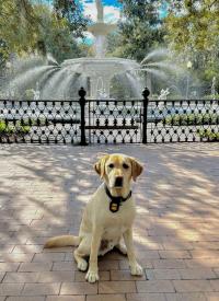K-9 Jerry sitting with large fountain in the background