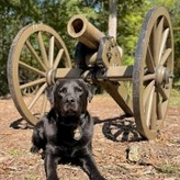 K-9 Wes in front of a vintage cannon