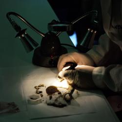 Evidence is prepared for an ATF forensic chemist to analyze