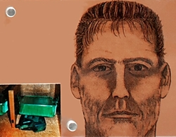 A sketch of the suspected perpetrator