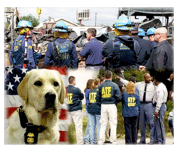 ATF History Collage featuring a canine, group of agents at a bombing site and a group of agents with two local officers