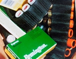 confiscated shotgun and 9mm ammunition