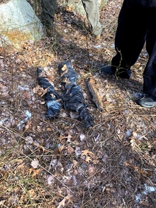 Two shotguns wrapped in plastic