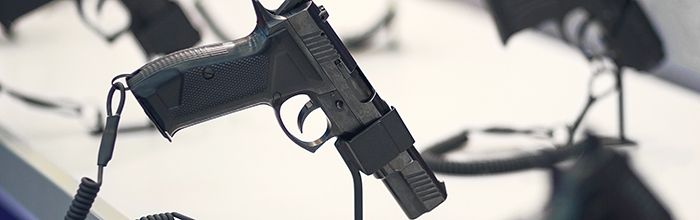 Gun in a display holder