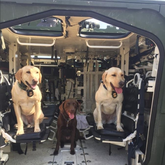 K-9s Vegas, Bonny, and Opey secure the 2017 Selfridge Air Show