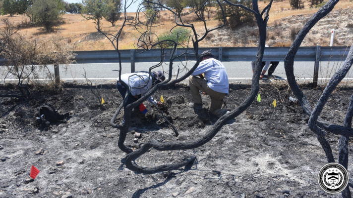 ATF personnel working during a fire investigation