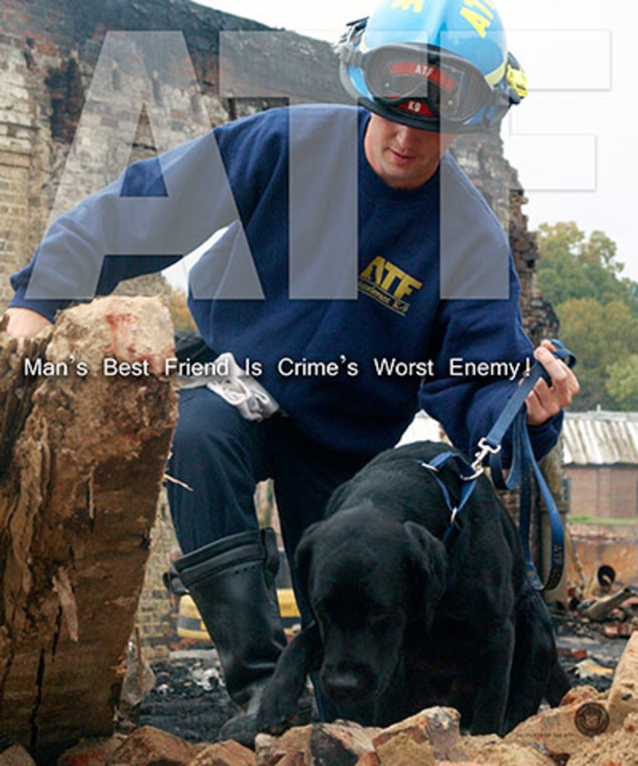 ATF agent and canine investigating an arson site. Caption: Man's best friend is crime's worst enemy