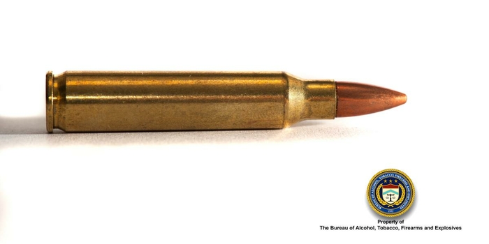 .223 Cal (Rifle) Bullet 