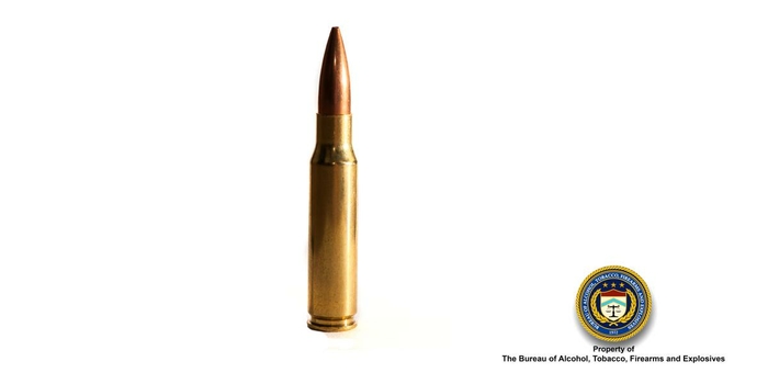 .308 (Rifle) Bullet 