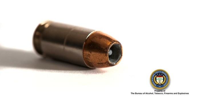 .45 Cal Hollow Point Bullet 