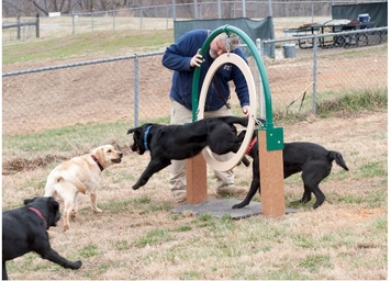 Canines participating in S.E.E.K. training