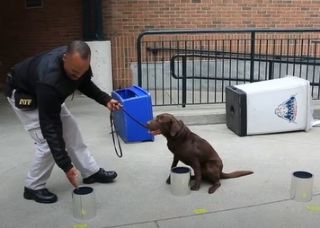A Special Agent Canine Handler and K-9 Bonny compete in the annual ATF National Odor Recognition Test 