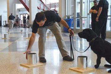 A Special Agent Canine Handler and K-9 Taylor participate in the ATF National Odor Recognition Test 2019